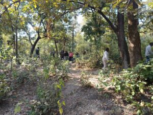 हाथी के हमले में अधेड़ ग्रामीण की हुई दर्दनाक मौत…….मवेशी चराकर वापस घर आने के दौरान हुई घटना